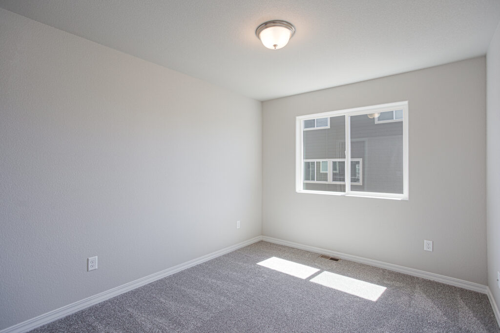 Sunlit empty room with carpet, a window letting in daylight and a ceiling light fixture.