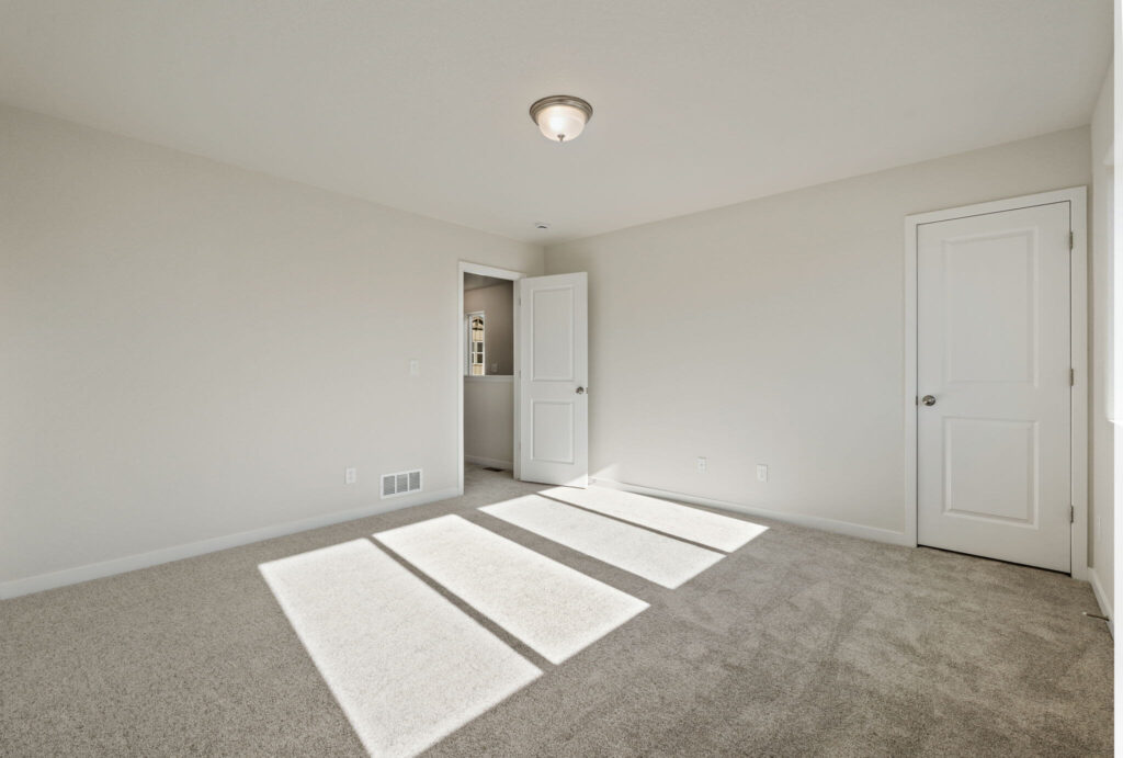 Bright empty room with beige carpet, a ceiling light, and sunlight strips from a nearby window.