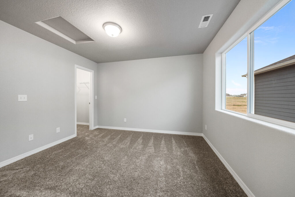 Second empty bedroom with tray ceiling detail, carpet and a walk-in closet doorway.