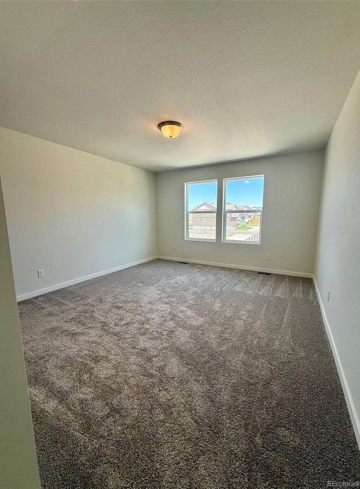 bedroom with textured carpet, two side-by-side windows, and flush-mount ceiling light