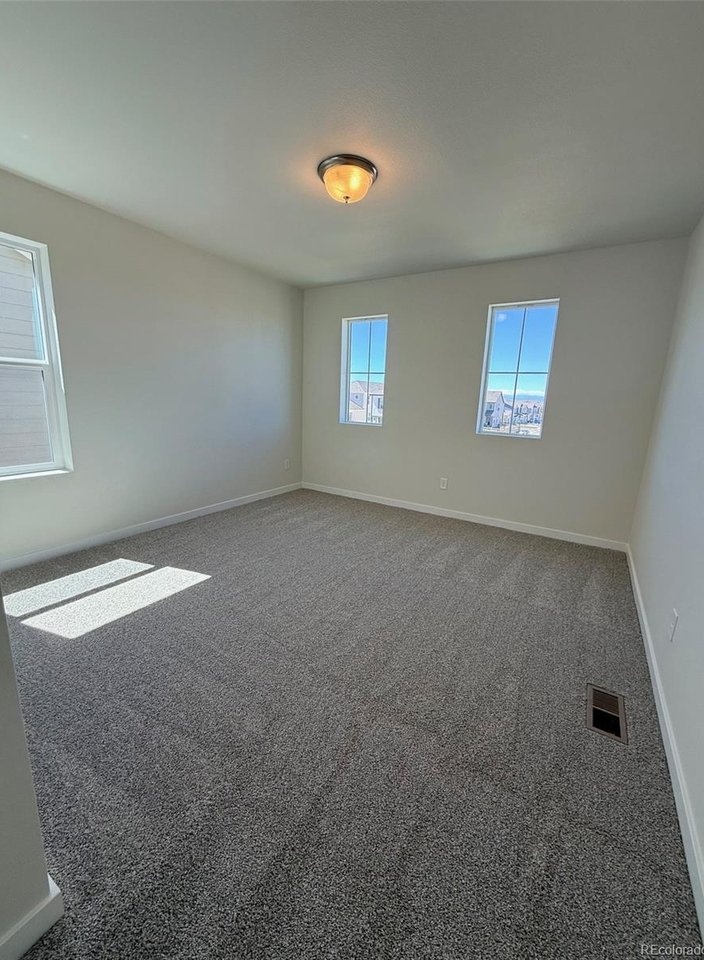 bedroom with two tall windows, carpeted floor, neutral walls, and ceiling-mounted light